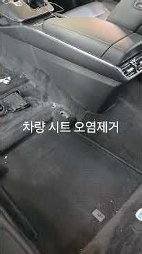 I made a huge mess on the pitiful second-row driver's seat. I have to remove everything to clean ...