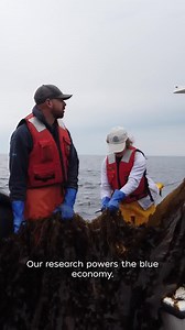 🌊🎣 Through bold science, discovery, and action, we're unlocking solutions for a thriving future. Because the ocean matters—to all of us! | Woods Hole Oceanographic Institution (WHOI)