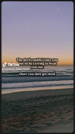 @Tabithas_little_farm