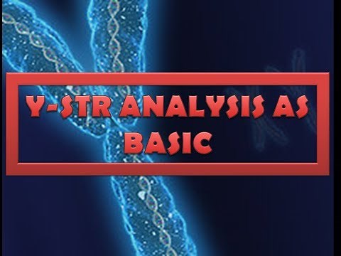 Y-STRs ANALYSIS (easy notes)