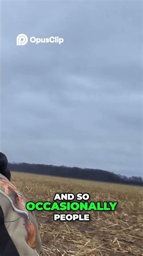 Native American Arrowheads From North Western Ohio Farmland
