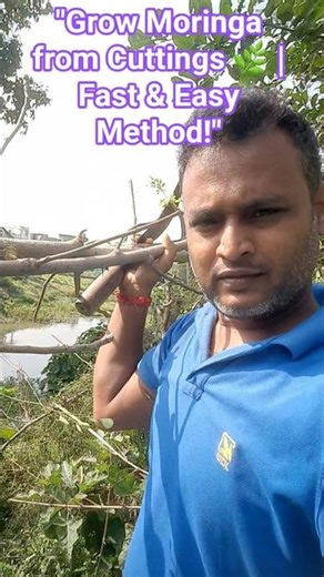 "Grow Moringa from Cuttings 🌿 | Fast & Easy Method!" #farming #moringa