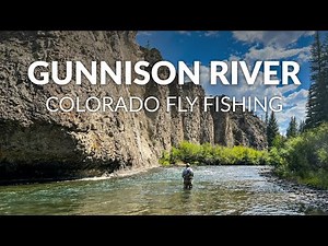 Stunning Wild Browns and Rainbows on the Fly! | FLY FISHING COLORADO