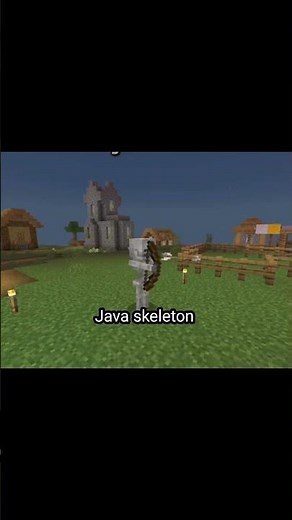 java skeleton🥱vs bedrock skeleton 💀