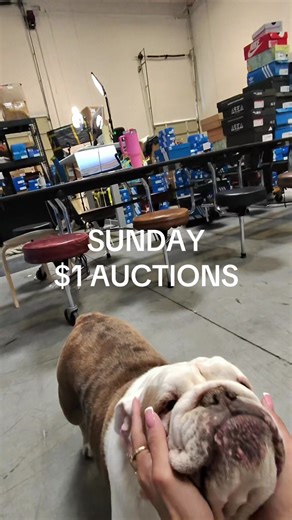 Sunday $1 auctions with the shoe game ladies you know we are gonna bring out some bangers for you and we hope to see you there 🫶🏽🍒 #fyp #trending #live #wholesale #sneakers