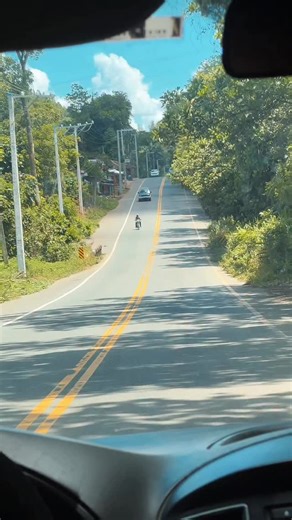 La Academia de Música Típica Rafelito Román abrió sus puertas en la Escuela de Bellas Artes de Puerto Plata, creando un espacio donde niños y jóvenes podrán formarse y mantener viva la esencia de nuestra música tradicional. 🎶✨ El acto fue encabezado por el ministro de Cultura, Roberto Ángel Salcedo, acompañado de autoridades y personalidades que respaldaron este importante paso para el fortalecimiento de la cultura dominicana. 🇩🇴 | Ministerio de Cultura