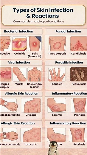 Types of Skin Infections & Reactions