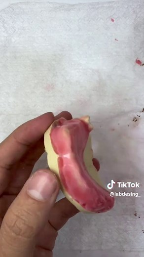 Fabricación de Prótesis Odontológicas en Cera