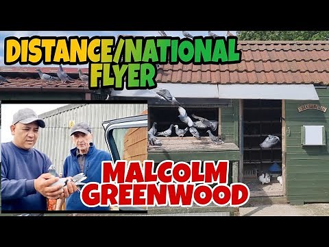 bicc national winning loft|national race flyer|pigeon racing UK|Yorkshire pigeon racing