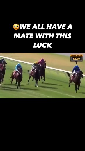 3.1K views · 91 reactions | Tag them below #winner #greyhound #greyhoundracing #horserace #horseracing #cheltenham #ascot #royalascot #bettingtips #linkinbio #wtf #telegram #lol #fail | Insider Edge Bets | Facebook