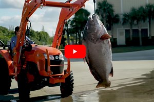 Massive 294-Pound Warsaw Grouper Requires Four People to Haul it Aboard