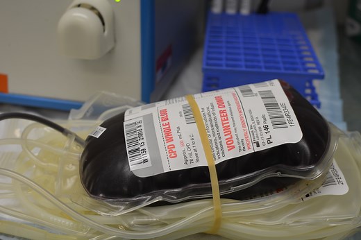 How Does A Blood Transfusion Change Your Body And DNA?