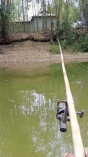 Amazing Hook Fishing Moment | Catching Fish Close-Up 🎣