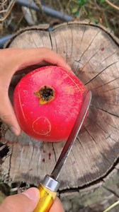 The Easiest Way To Open A Pomegranate | Cake Maker