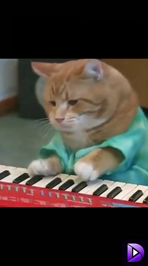 ¡Ven a disfrutar de los artistas únicos de DailyTube! #DailyTube #nointerrupción #video | DailyTube