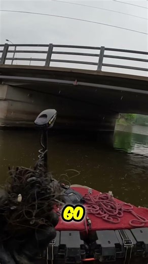 Fishing Line Surprise: Found Old Shotgun Shell! #shorts