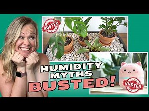 The TRUTH About Humidity! Why Your Plants Are Struggling