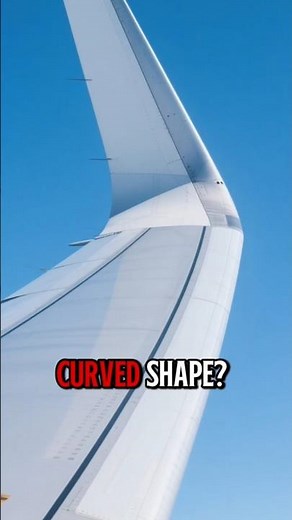 Why Airplane Wings Are Shaped That Way ✈️ #Aviation #Science #Flight #facts