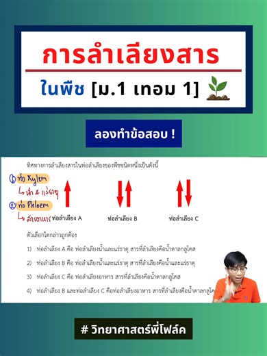 📌ข้อสอบ : การลำเลียงสารในพืช [ม.1]🌳 #วิทยาศาสตร์พี่โฟล์ค #วิทยาศาสตร์ #วิทย์ประถม #สอบเข้า #มัธยม #ประถม #มัธยมต้น #ข้อสอบ #พืช | คณิตศาสตร์พี่ป๊อป