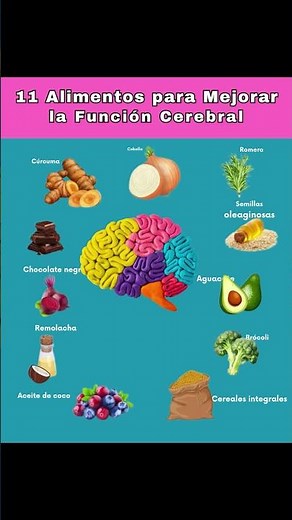 11 alimentos que potencian tu memoria y concentración