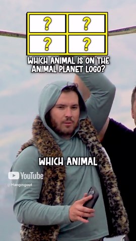 What Is The Animal In The Animal Planet Logo? #shorts