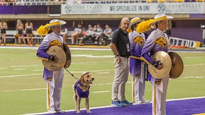 Meet Winnie the dog, the newest member of UNI marching band, who's already stealing hearts