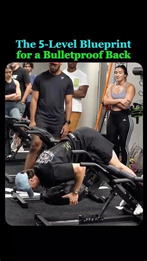 The 5-Level Progression to a Bulletproof Back #backpain #exercise #lowerbackpain ‪@lowbackability‬