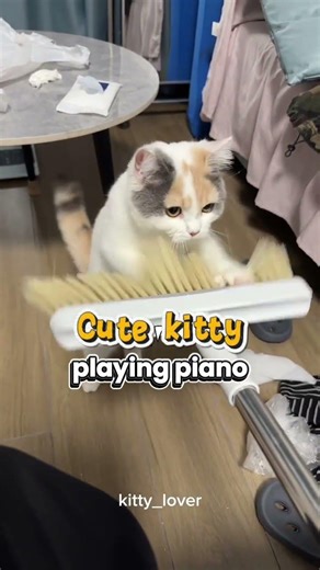 cute kitty playing piano like a pro #cat #fypシ #funny #funnycat
