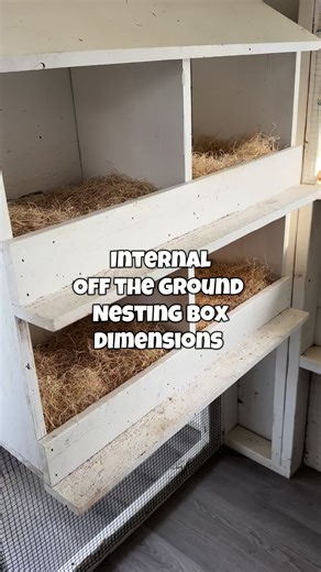 Internal Nesting Boxes for Chickens: Benefits and Tips