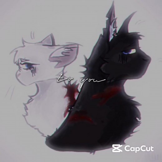 The saddest death in warrior cats #warriorcats #fallingfeather #jackdawscry #love #waca