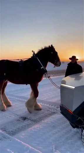 Amish Horse DESTROYS Stuck Cybertruck in Snow 😱😂 Real Horsepower Wins!
