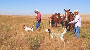 Technology meets the outdoors! See how John and Michelle, owners of Seranoa Kennels in Broadview, MT rely on our Fiber network. | Triangle Communications