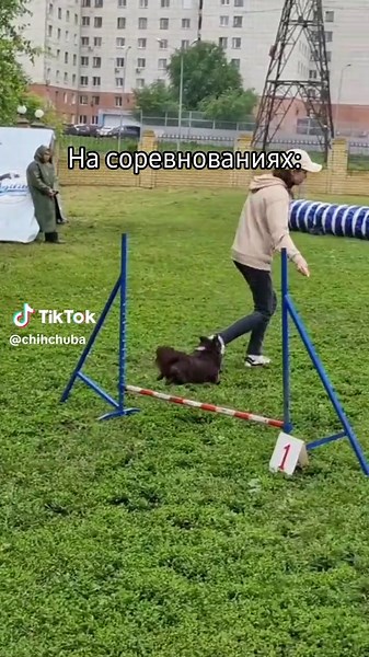 Чуба on TikTok