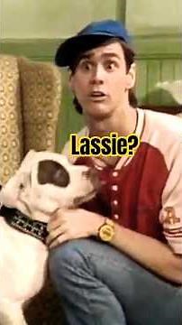 JIM CARREY’s Dark LASSIE Parody (Pit Bull Version) 😳
