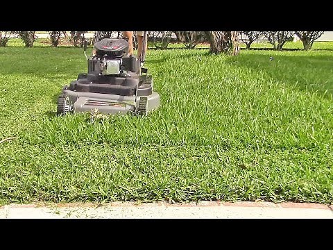 Mulching St Augustine grass with the DR SP30 mower