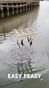 The clever hook frame trick that actually catches fish 🎣 | Green Bean