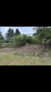 Looking for side work •Gutter cleaning •Pressure washing •House clean out •Junk removal •Scrap removal •Mechanic work •Mowing •Brush removal •Staining decks •Painting •seal coating •Hot tub removeral If not listed don’t be afraid to message me asking if I’m able to do the job 540-974-2361 @everyone | Cumberland on Patrol