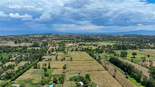 Three young engineers are tackling the massive challenge of agricultural efficiency in Africa by making farm machinery accessible and affordable. Since 2017, the trio has creatively integrated foreign-made components, like motors and engines, with locally sourced materials to produce essential farm equipment. These affordable machines, readily available to smallholder farmers in Kenya and across the continent, are already being hailed as a game-changer, transforming grueling manual labor into st