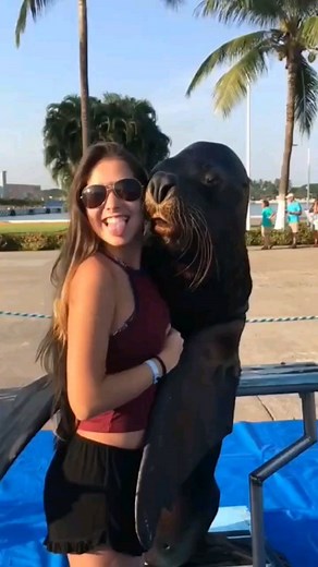 ▶️Weeememes◀️ | Follow for more weee🤣👍 #weee#wee#funny#memes#seal#viral#animals#animal#meme#smile | Instagram