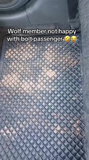 #wolves #uber #bolt #tiktoksouthafrica🇿🇦 #tiktok