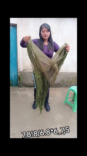 Cuentas recomendadas