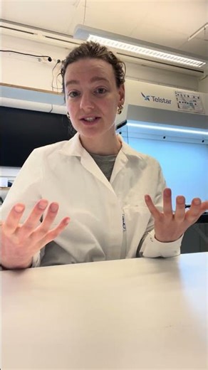 Floortje van Bemmel Application Video - São Paulo School of Advanced Sciences on Microplastics 2026