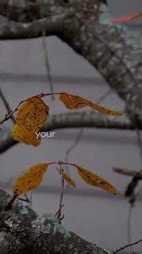Shortcut to Finding Yourself | #AvantiCodes
