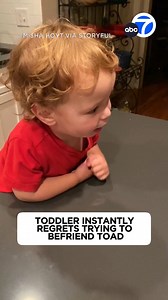 9K views · 121 reactions | A two-year-old boy in Tennessee was torn between terror and fascination as his father introduced the little boy to a toad he’d caught.  | ABC7 | Facebook