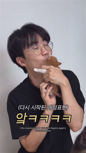 포캣멍센터 on Instagram: "고양이 프로포즈  A cat proposal [사단법인 포캣멍센터 후원계좌] 기업 326-149252-04-016 #코숏 #아기고양이 #길냥이  #animalshelter #adoptapet"