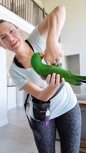 Jen Greenberg | Building trust through training 💚 Teaching your bird this "trick" is a great way to build on your current trust level and make your... | Instagram