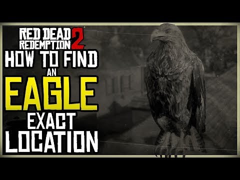 WHERE TO FIND EAGLE'S IN RED DEAD REDEMPTION 2 EXACT EAGLE MAP LOCATION