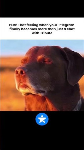 Provide an overview of the task and related details.