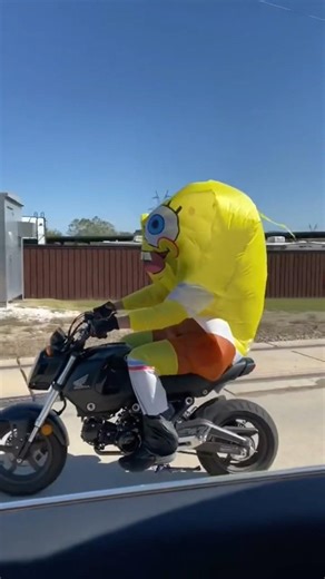 Real Life - SpongeBob on a motorcycle! #spongebob #goodvibes #explore #motorcycle