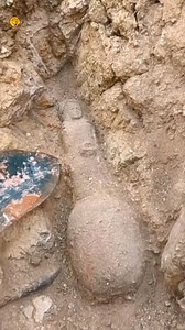 Amazing find | Last discovery